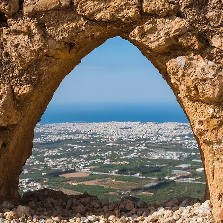 Malaxa فيلة *